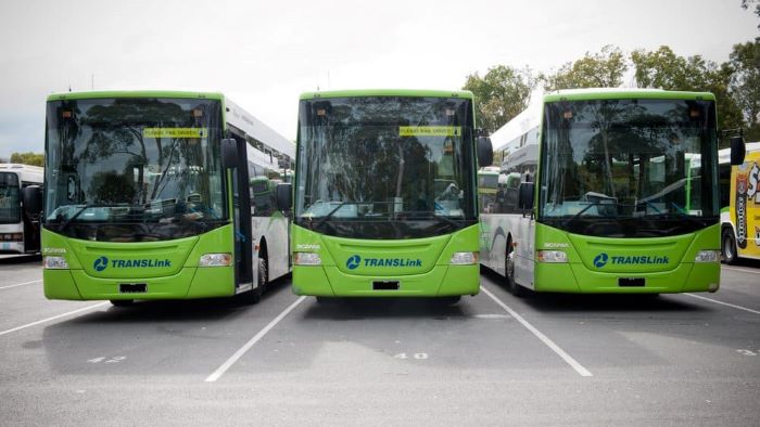 Ipswich bus network